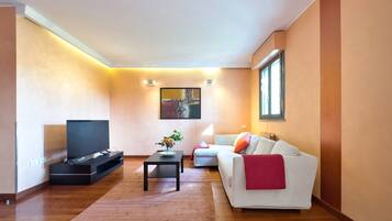 Fernseher, Arbeitsbereiche