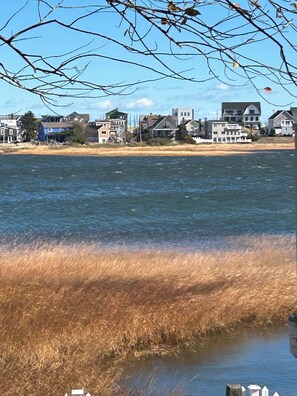 星評価なしの画像、5 / 13、ボタン