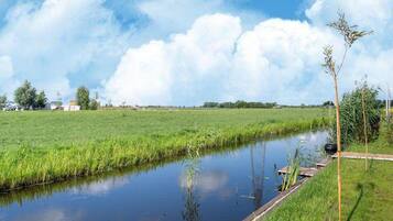 House | View from property