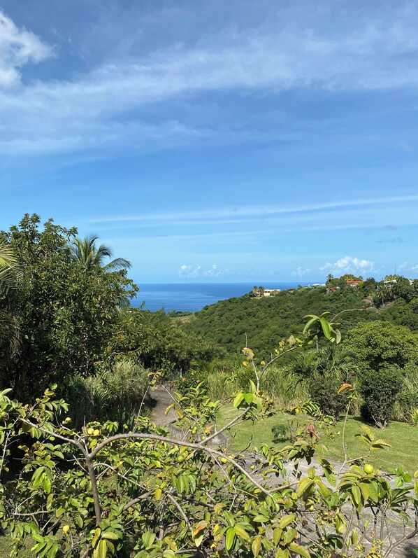 A lush green landscape with a view of the ocean and hills in the distance.