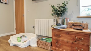 Une pièce avec un plancher en bois, un radiateur blanc, un téléviseur fixé au mur, une plante, une commode en bois avec des tiroirs et un panier rempli de lettres de Scrabble.