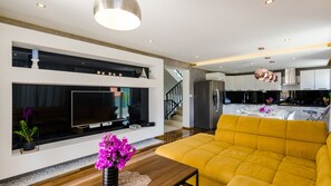 TV