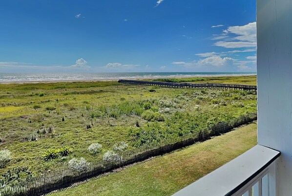 Property grounds - So Serene | Beachfront, Pet-Friendly (Galveston)