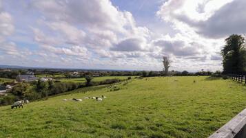 المنطقة المحيطة بالمنشأة