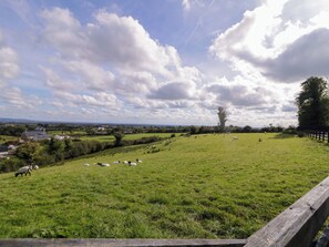 Property grounds - Molly's Cottage (Enniskillen)