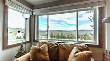 Smart TV, fireplace, DVD player, books