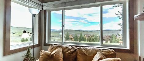 Smart TV, fireplace, DVD player, books