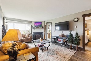 智能电视、壁炉、DVD 播放器、书