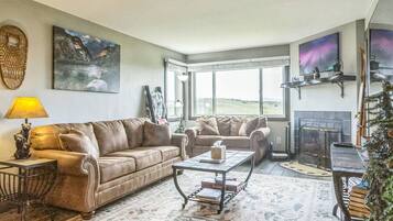 Smart TV, fireplace, DVD player, books
