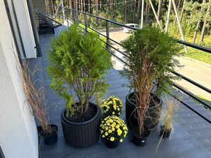 Comfort Apartment, Courtyard View | Terrace/patio