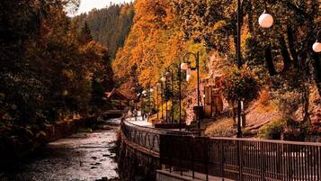 Eine Holzbrücke über einem Fluss mit Metallgeländer, umgeben von Herbstlaub und Straßenlaternen.