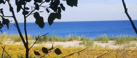 ハウス | 施設からの眺望