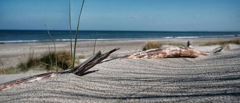 ハウス | 施設からの眺望