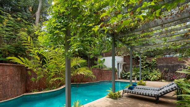 Une piscine entourée d’une végétation luxuriante, agrémentée d’une pergola et d’un fauteuil de relaxation.