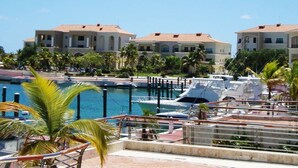 A marina with boats, palm trees, and buildings with a Mediterranean architectural style.