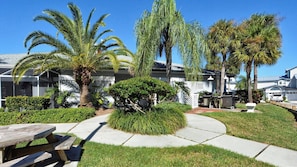A residential area with a well-maintained lawn, a wooden picnic table, and a barbecue setup.