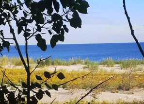 House | View from property