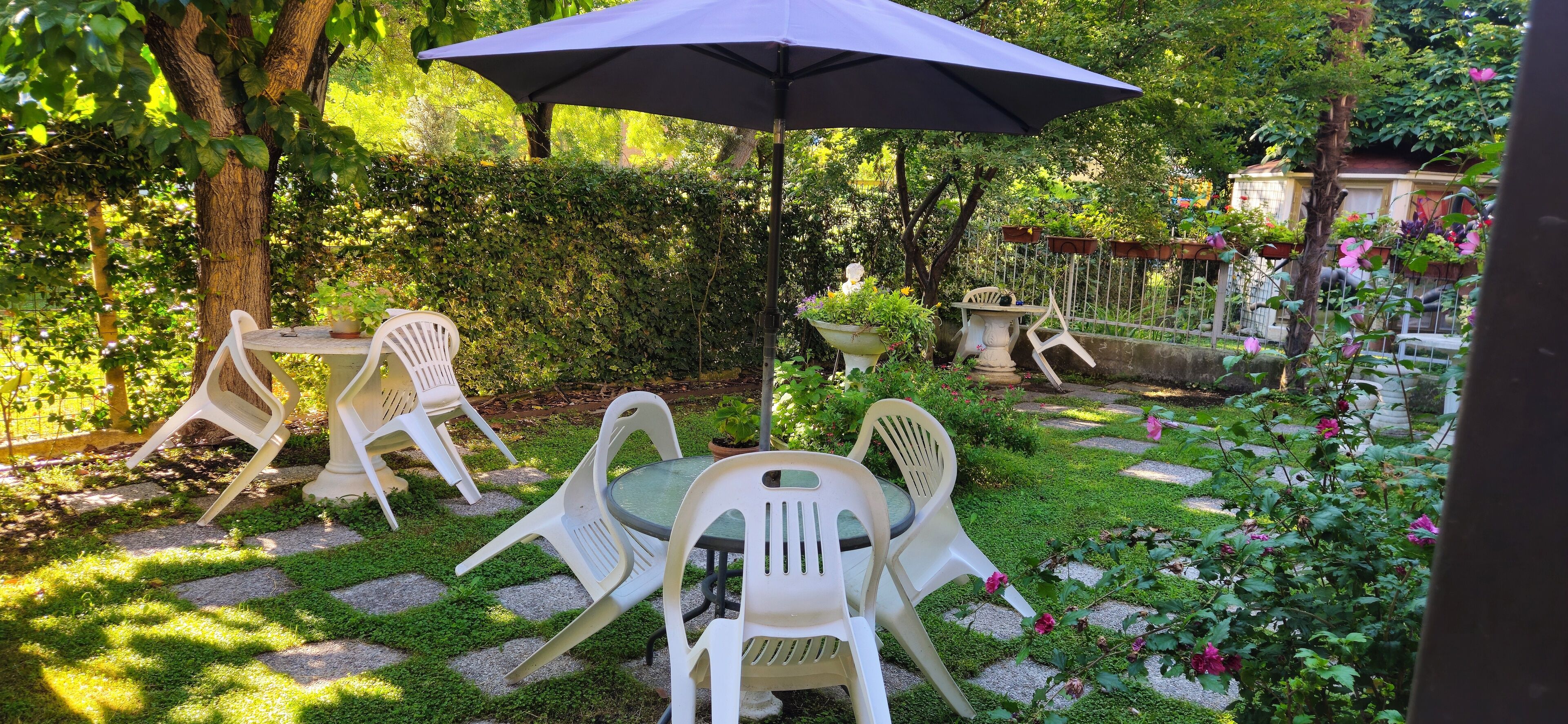 Un patio jardín con sillas de plástico blanco y una mesa, rodeado de follaje y un seto.