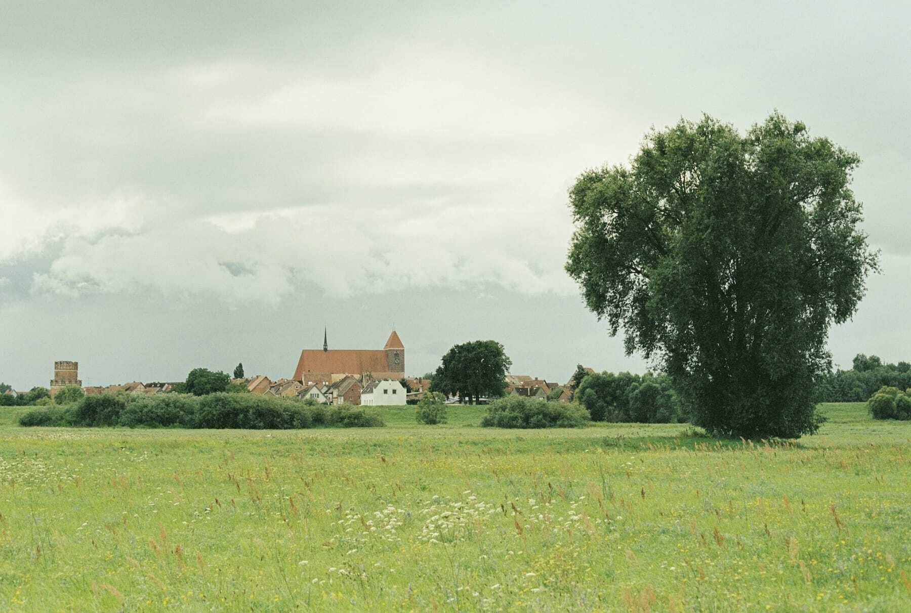 A rural landscape with a church, a large tree, and a field.