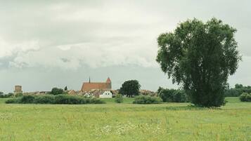 A rural landscape with a church, a large tree, and a field.