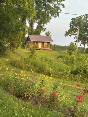Exterior - Near Red River Gorge, Rock Climbing, Hiking Trails  (Frenchburg)