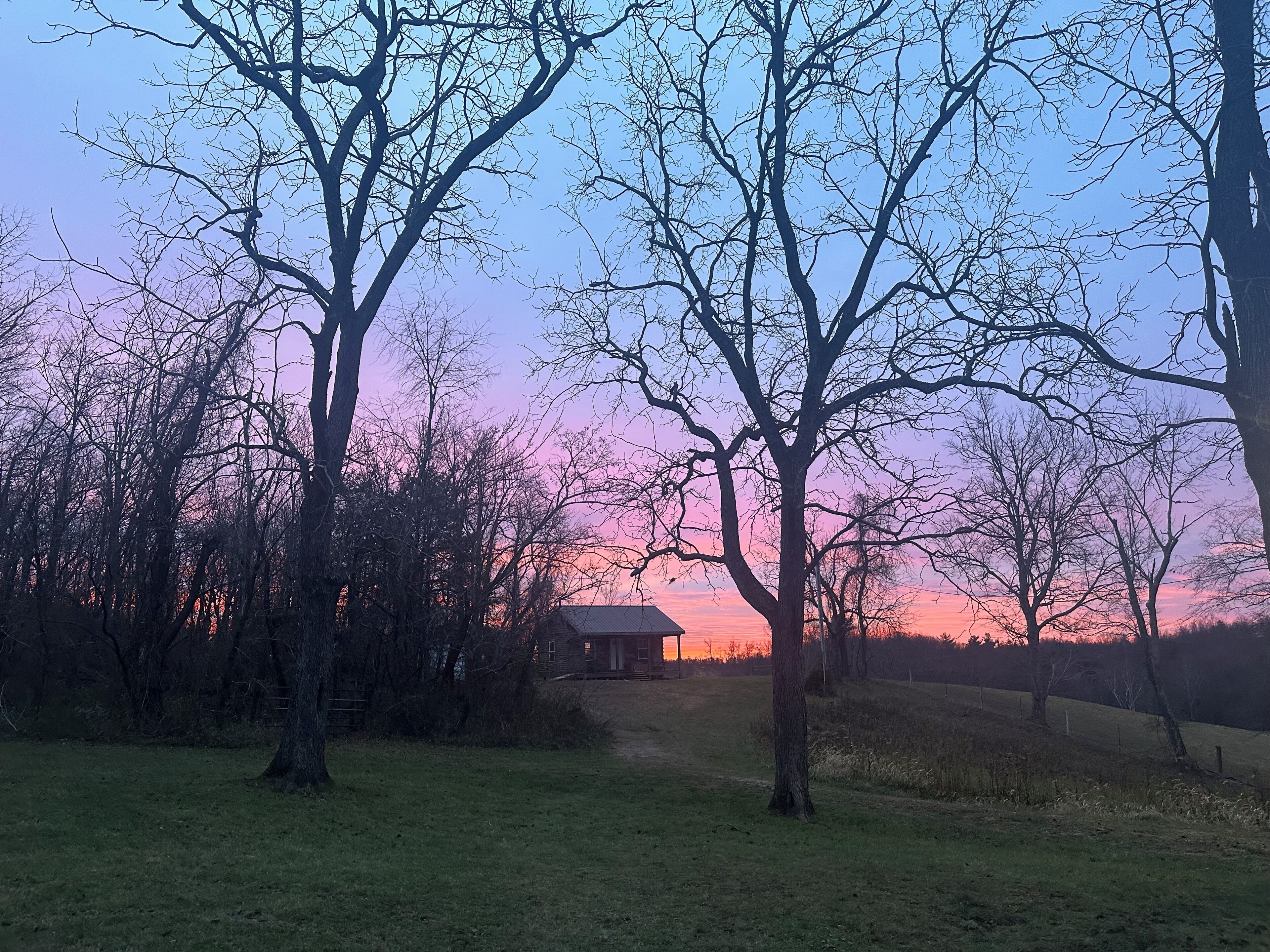 A rural landscape with trees, a grassy field, and a distant building.