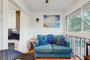 TV, fireplace, books