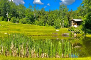 المنطقة المحيطة بالمنشأة