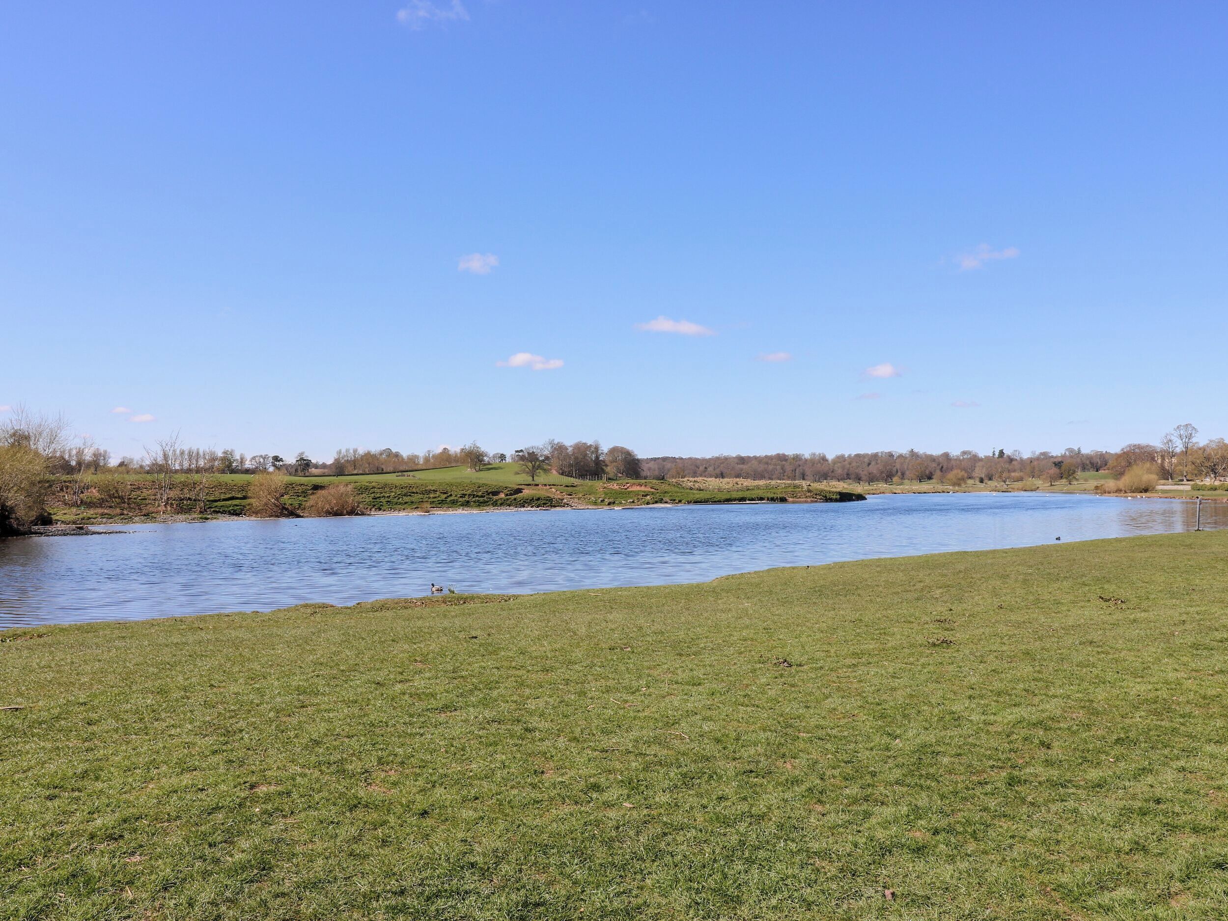 A river with grassy banks and trees in the background.