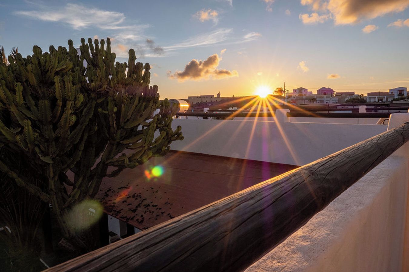 Atardecer sobre una masa de agua con un cactus al frente y un edificio al fondo.