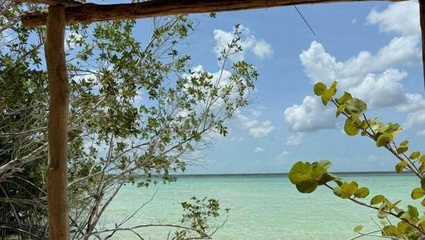 Une vue sur la plage avec une structure à toit de chaume, une eau turquoise cristalline et une végétation luxuriante.
