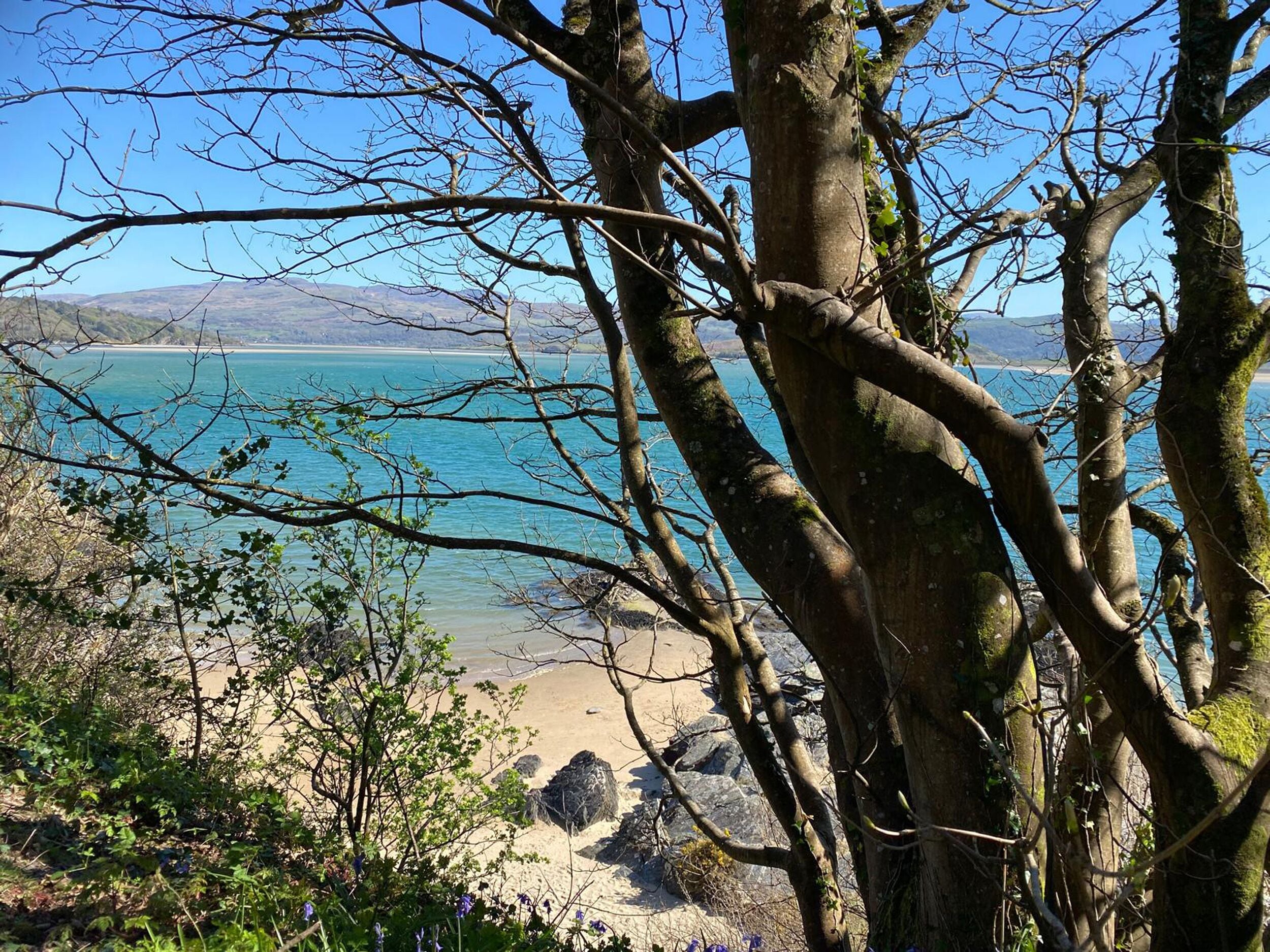 Plage à proximité