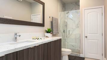 Shower, hair dryer, towels, shampoo
