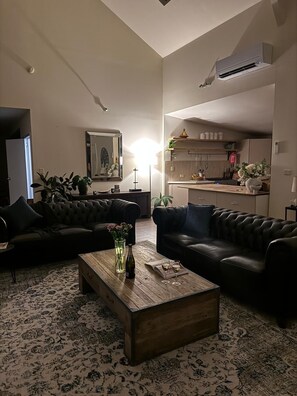 Smart TV, fireplace, books