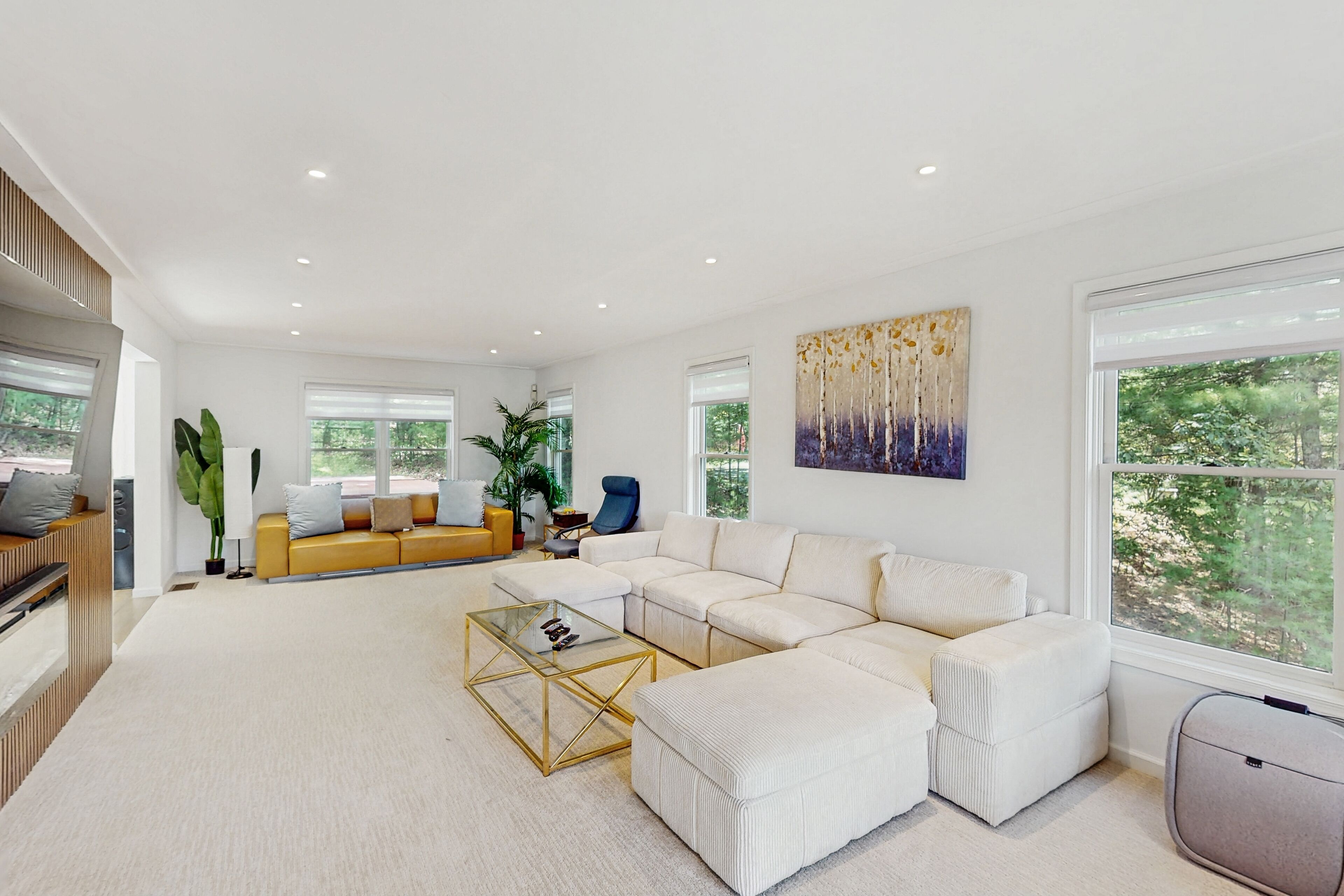 TV, video games, table tennis