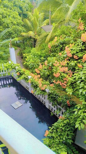 Welcome to shalom breaze