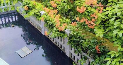 Welcome to shalom breaze