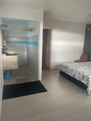 1 chambre, fer et planche à repasser, Wi-Fi, literie fournie