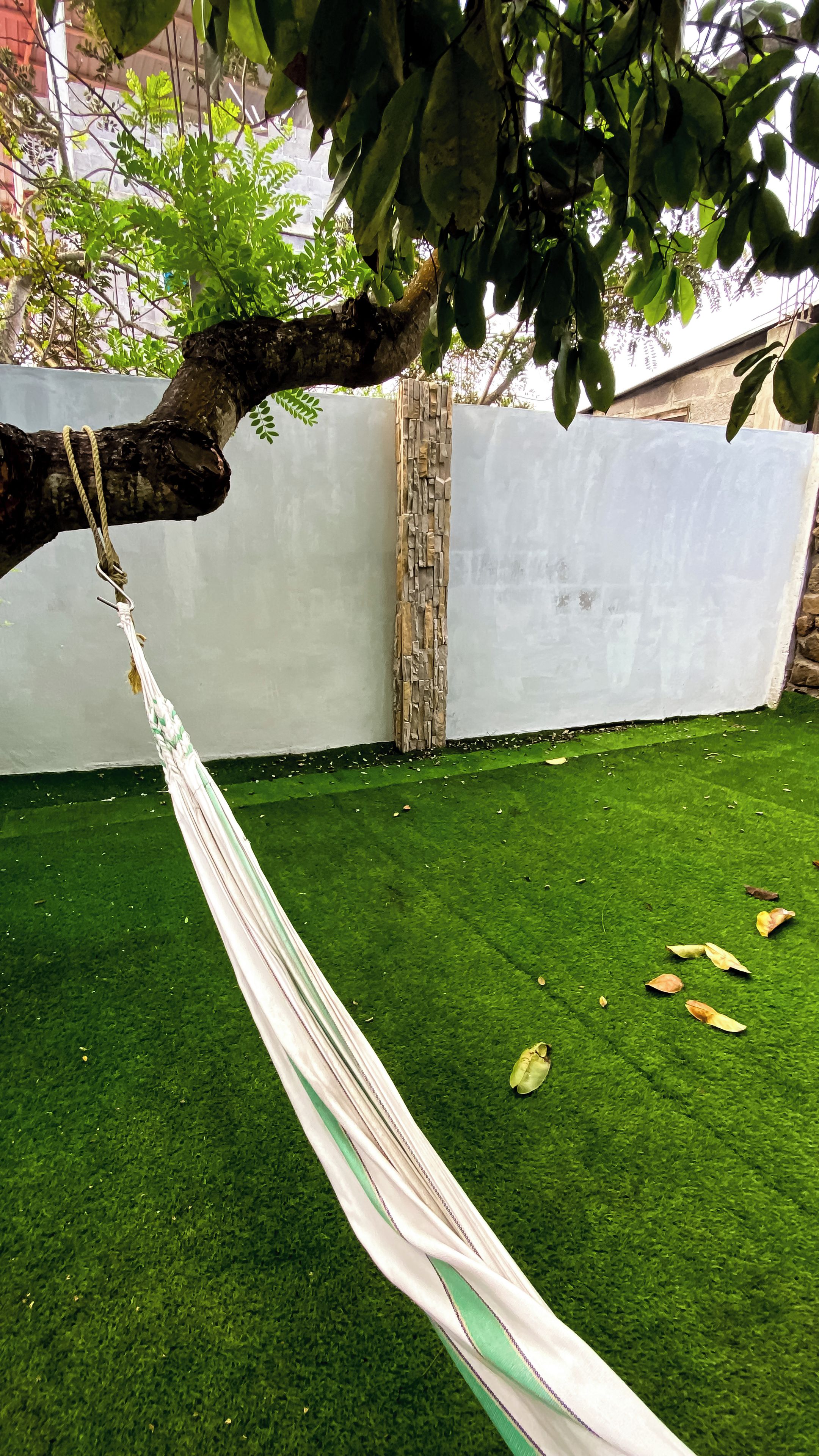 A hammock tied to a tree branch, a white wall, and a green artificial lawn.