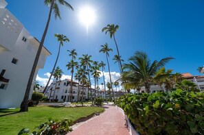 A pathway lined with palm trees leading to a white building with a red-tiled roof.