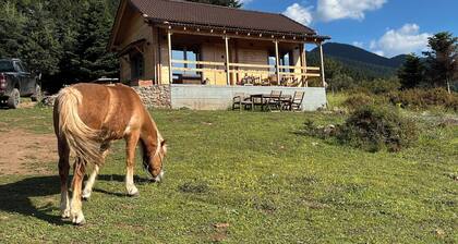 Gorgeous farmhouse on Menalon Arcadia,Greece