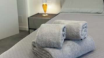 2 slaapkamers, een strijkplank/strijkijzer, wifi, beddengoed