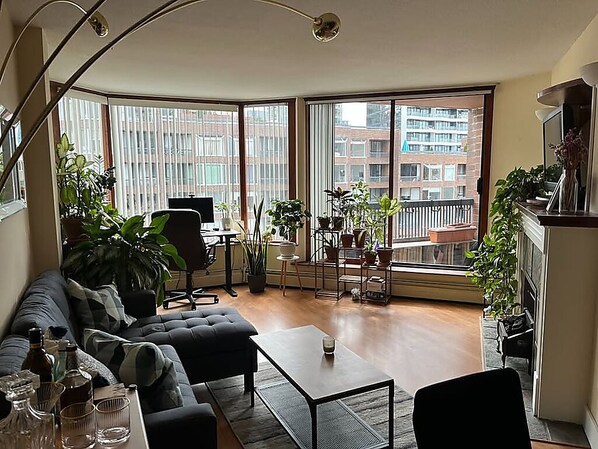 Smart-TV, Kamin