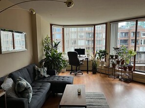 Smart-TV, Kamin