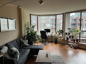 Smart-TV, Kamin