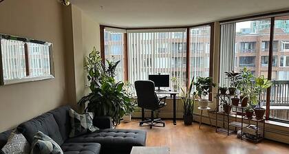 Harbor Light-Modern 1BR King-Complete Unit