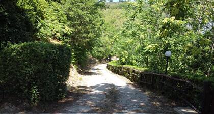 AGRITURISMO MONTEMAGGIO