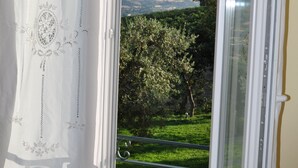 A window with a white curtain featuring a floral pattern, offering a view of a green landscape with trees and distant hills. - AGRITURISMO MONTEMAGGIO (Lapedona)