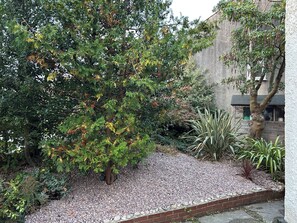 المنطقة المحيطة بالمنشأة