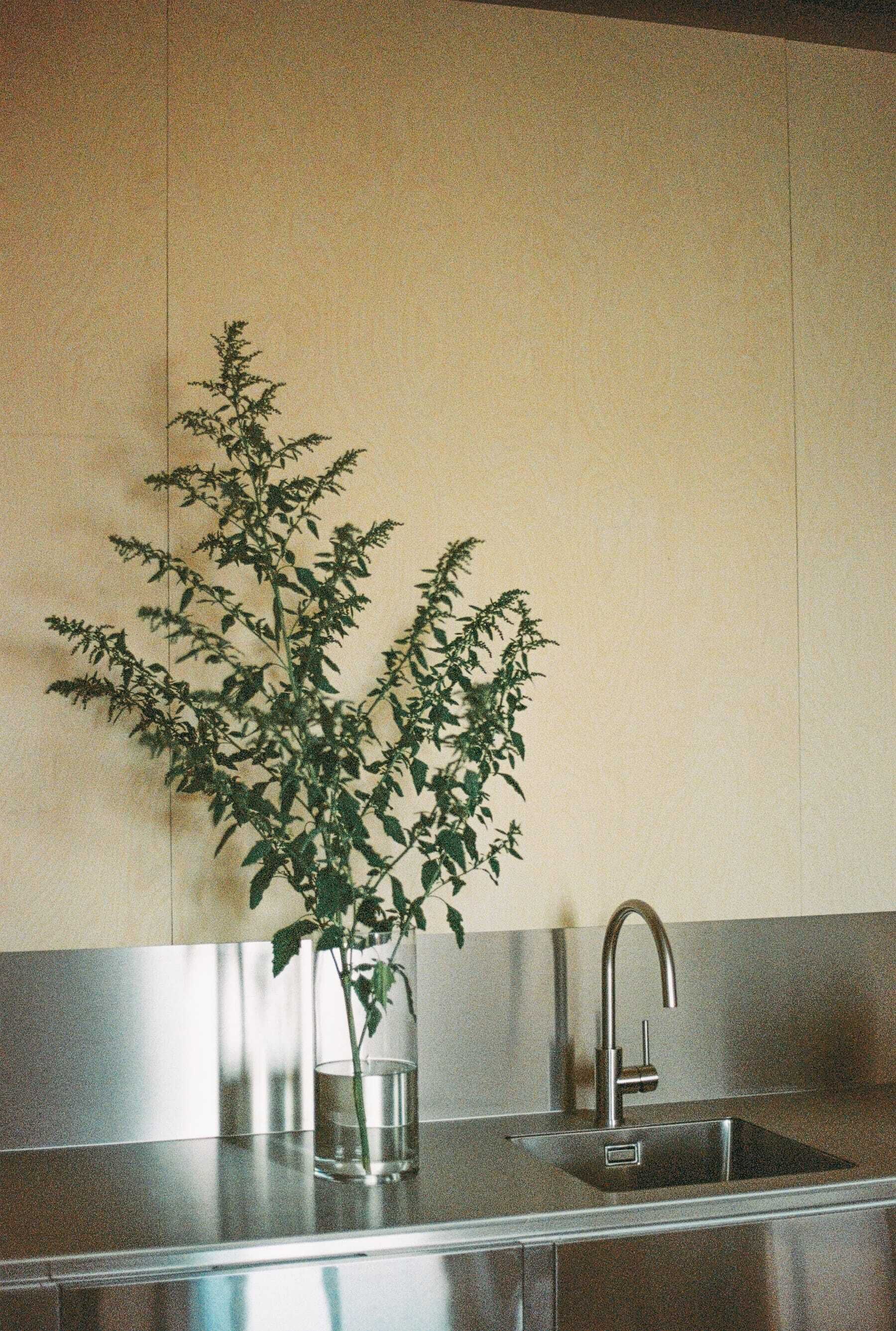 A kitchen with a stainless steel sink, a faucet, and a clear glass vase with a plant.